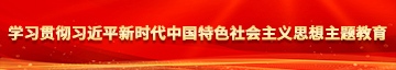 强行插入妹妹花核揉捏学习贯彻习近平新时代中国特色社会主义思想主题教育